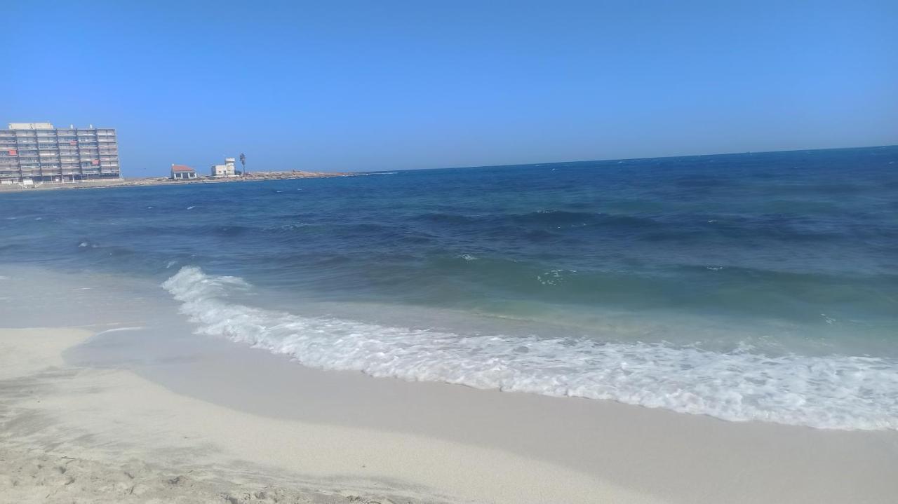 Apartment Only 250M From The Beach Los Locos Torrevieja Eksteriør billede