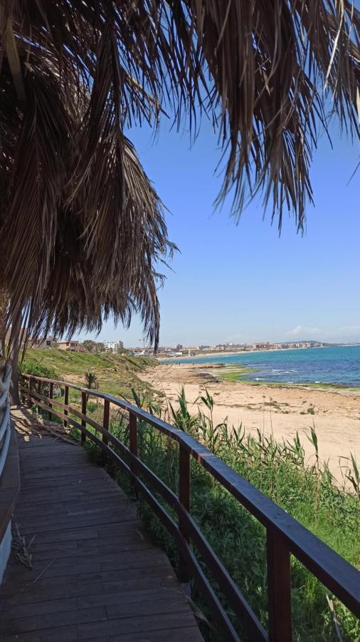 Apartment Only 250M From The Beach Los Locos Torrevieja Eksteriør billede