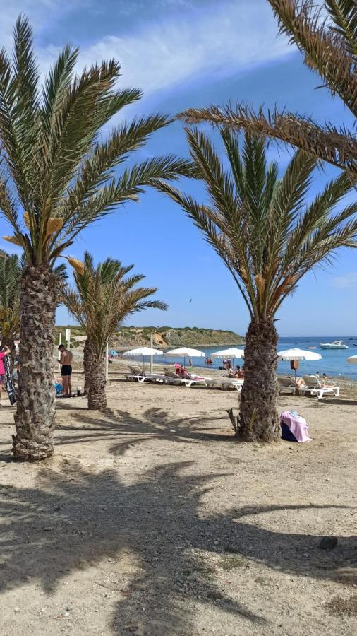 Apartment Only 250M From The Beach Los Locos Torrevieja Eksteriør billede